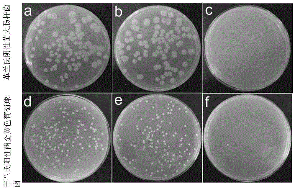 Nano-silver compounded hydroxyapatite super-long nanowire antibacterial paper