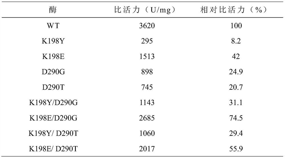 Preparation and application of a kind of maltogenic amylase mutant