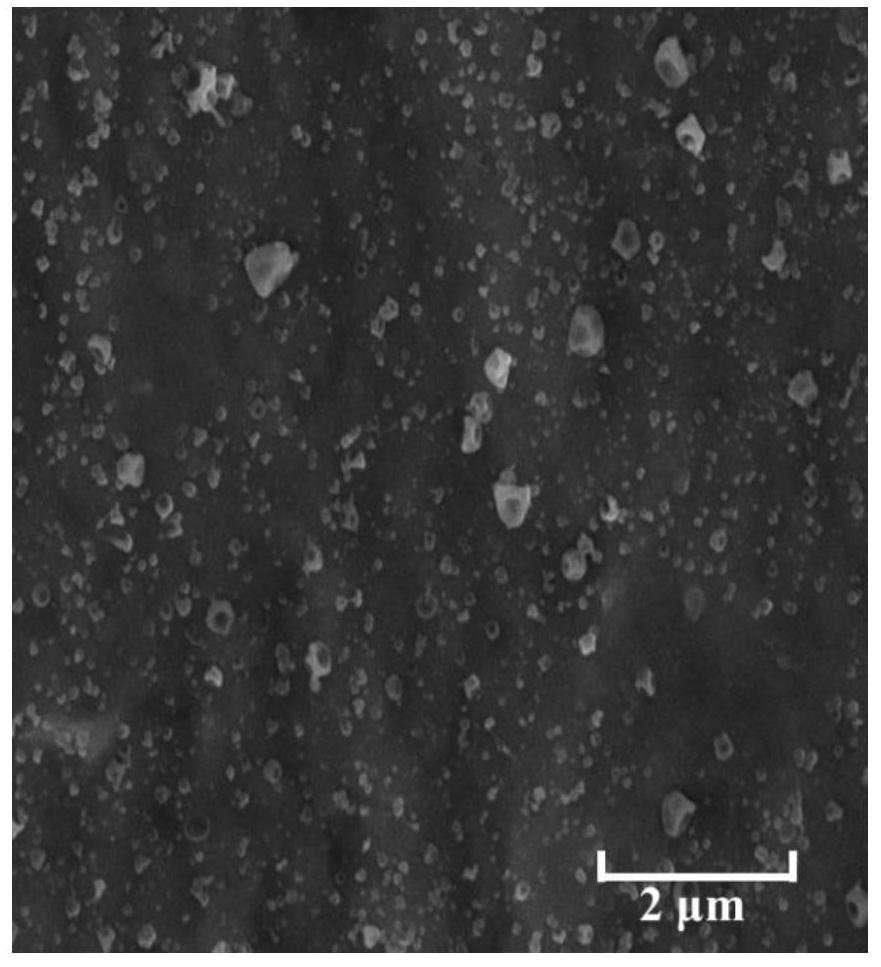 Pickering emulsion and preparation method thereof