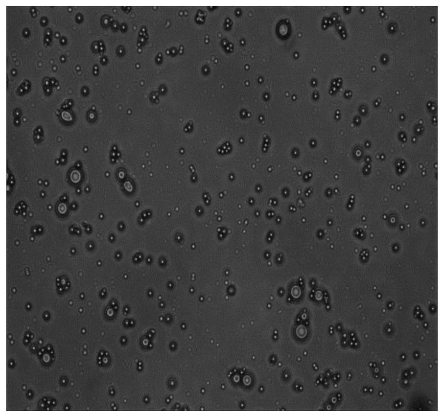 Pickering emulsion and preparation method thereof