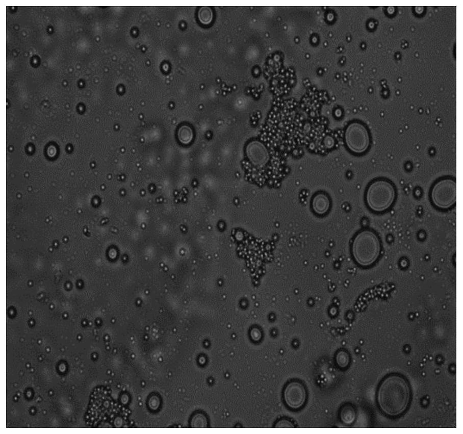 Pickering emulsion and preparation method thereof