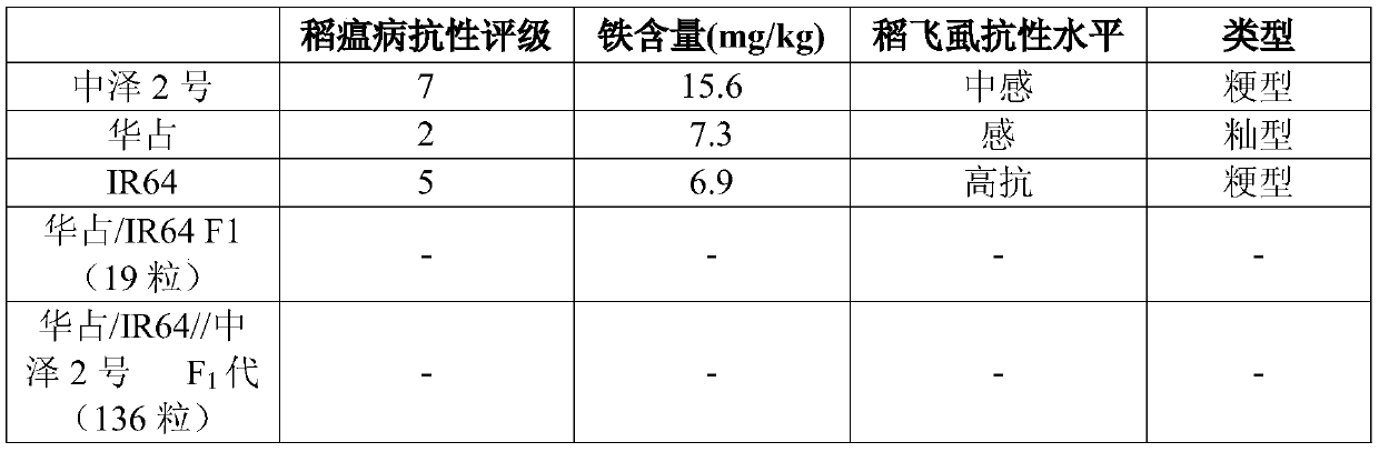 A kind of breeding method of high-iron rice with resistance to diseases and insect pests