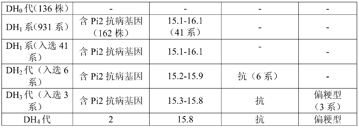 A kind of breeding method of high-iron rice with resistance to diseases and insect pests