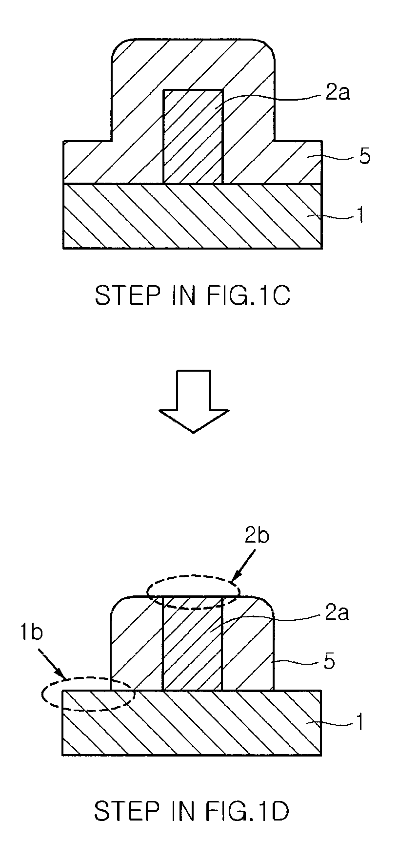 Etching method and apparatus
