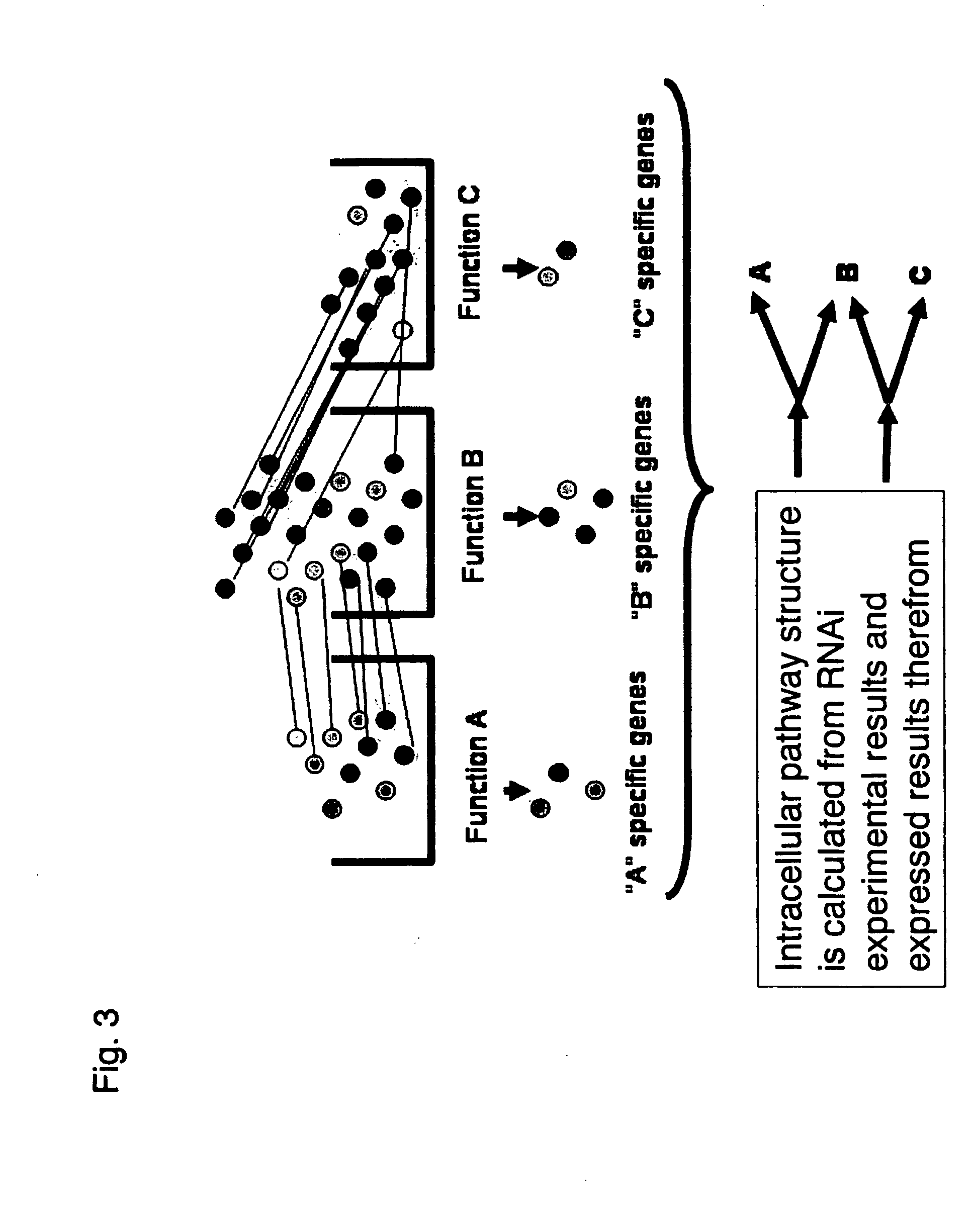 Methods and systems for analyzing a network of biological functions