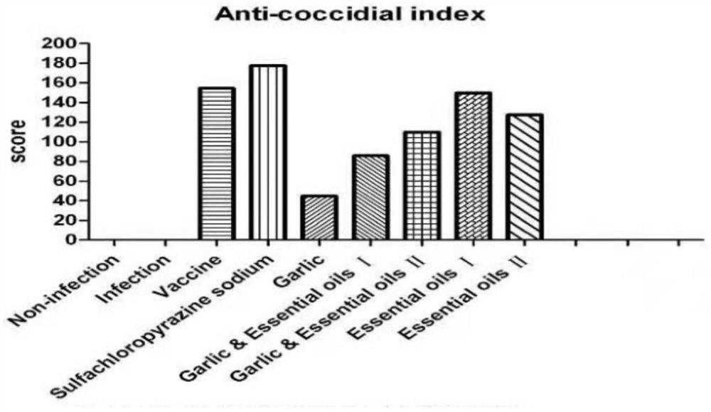 Plant essential oil for preventing and treating coccidiosis and application thereof