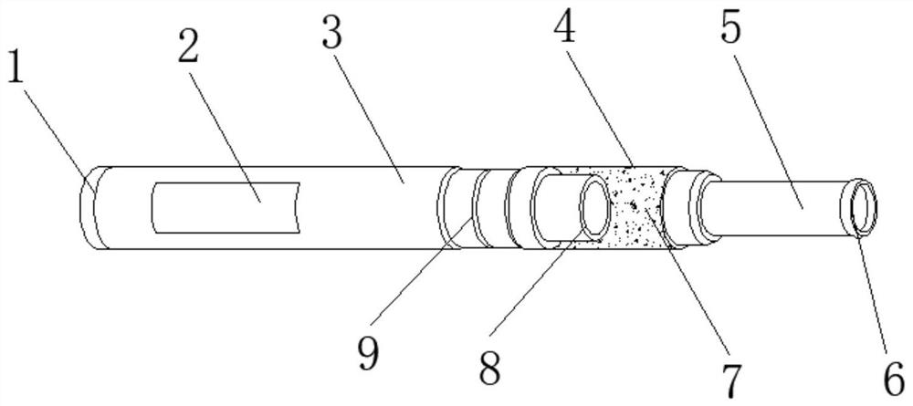 A smart electronic cigarette with network function