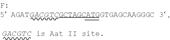 Method to produce protein in <i>Penicillium amagasakiense</i>'s sleeping spores by transformation of ssRNA