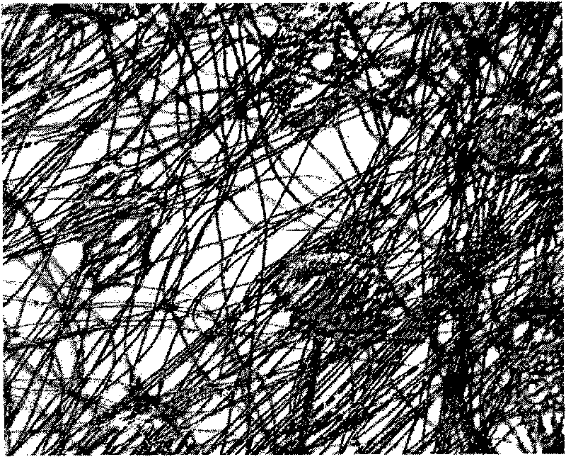 Nonwoven fibric fibre orientation distribution measuring method