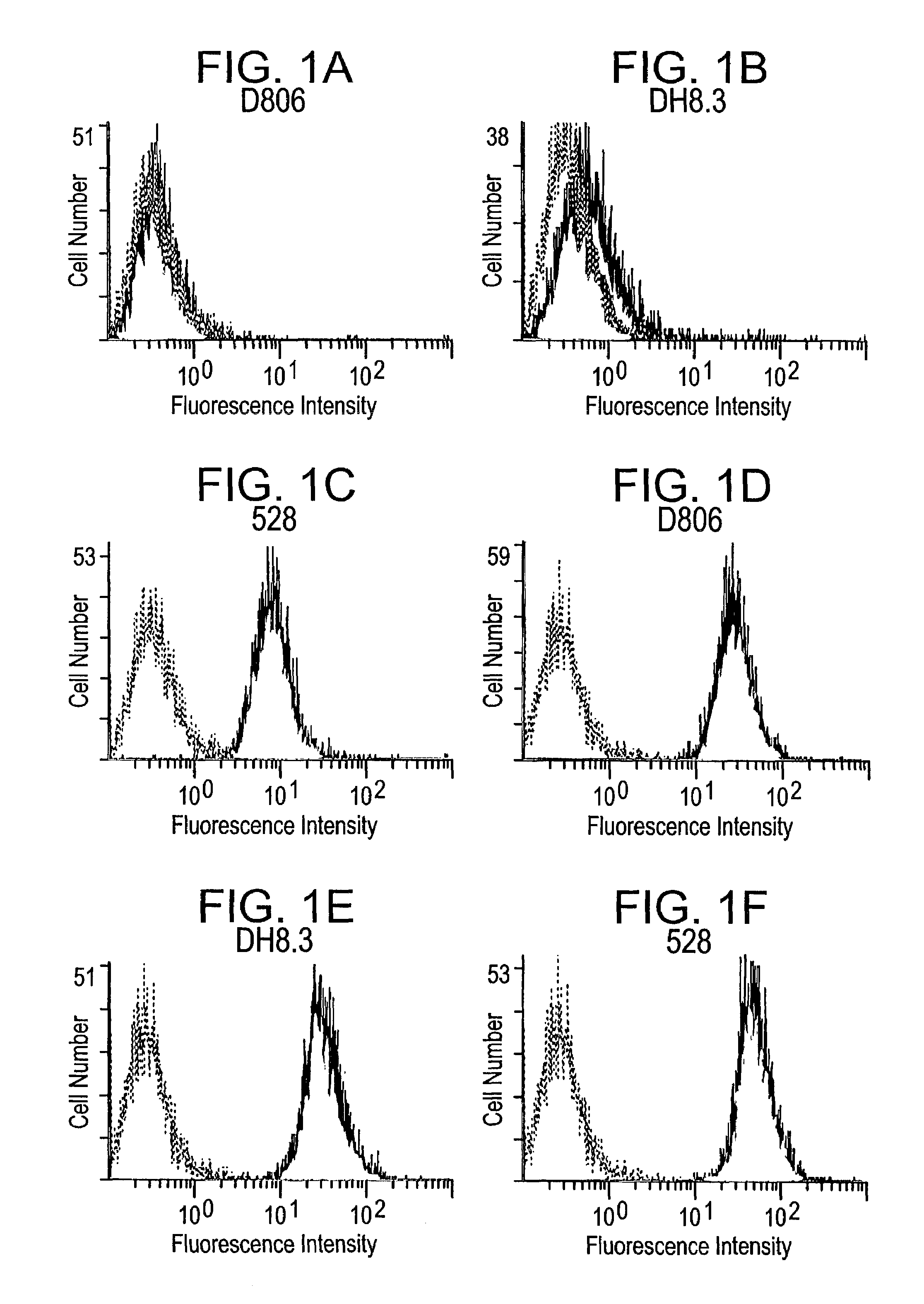 Specific binding proteins and uses thereof