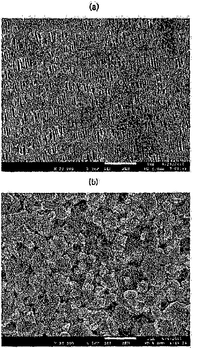 Porous separator coated with organic/inorganic complex using aqueous coating solution, method for manufacturing same, and electrochemical device using same