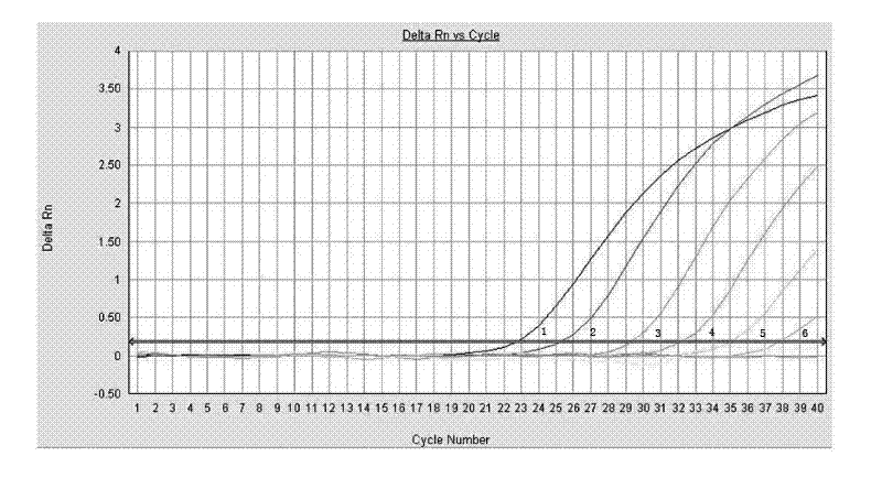 Fluorescent quantitative pcr detection kit and non-diagnostic detection method for novel type A h1n1 virus