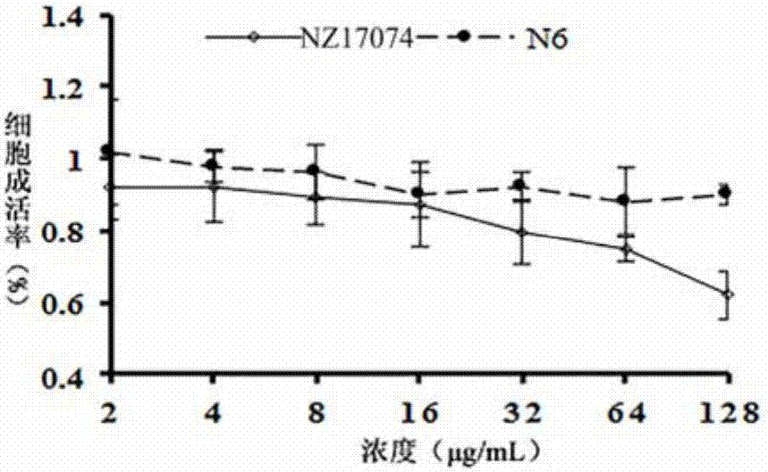 Arenicola cristata antibacterial peptide NZ17074 derived peptide N6 and application thereof