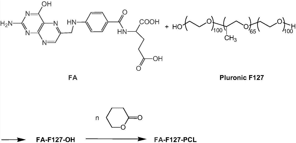 FA-F127-PCL folate-targeted copolymer as well as preparation method and application thereof