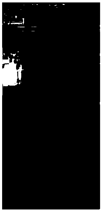 Identification method of guava leaf processed products