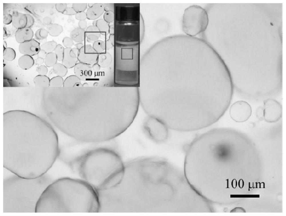 Pickering super emulsifier silicon dioxide nano net and preparation method thereof