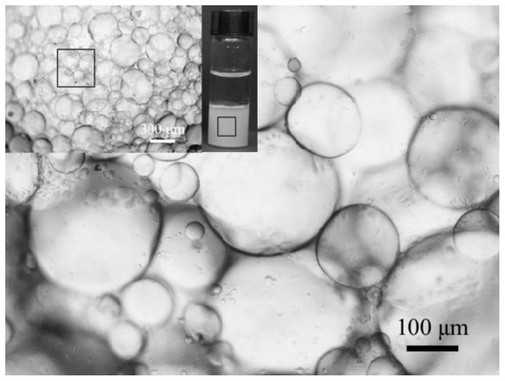 Pickering super emulsifier silicon dioxide nano net and preparation method thereof