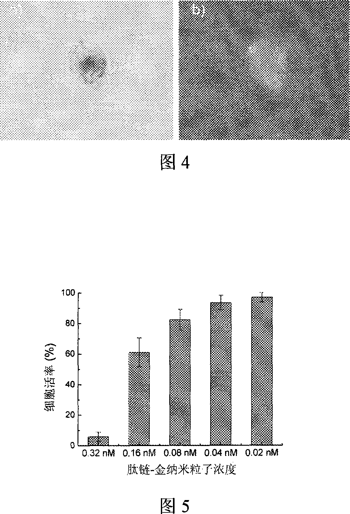 Method for synthesizing arginine-enriched polypeptide-gold nano particle cell transmission carrier