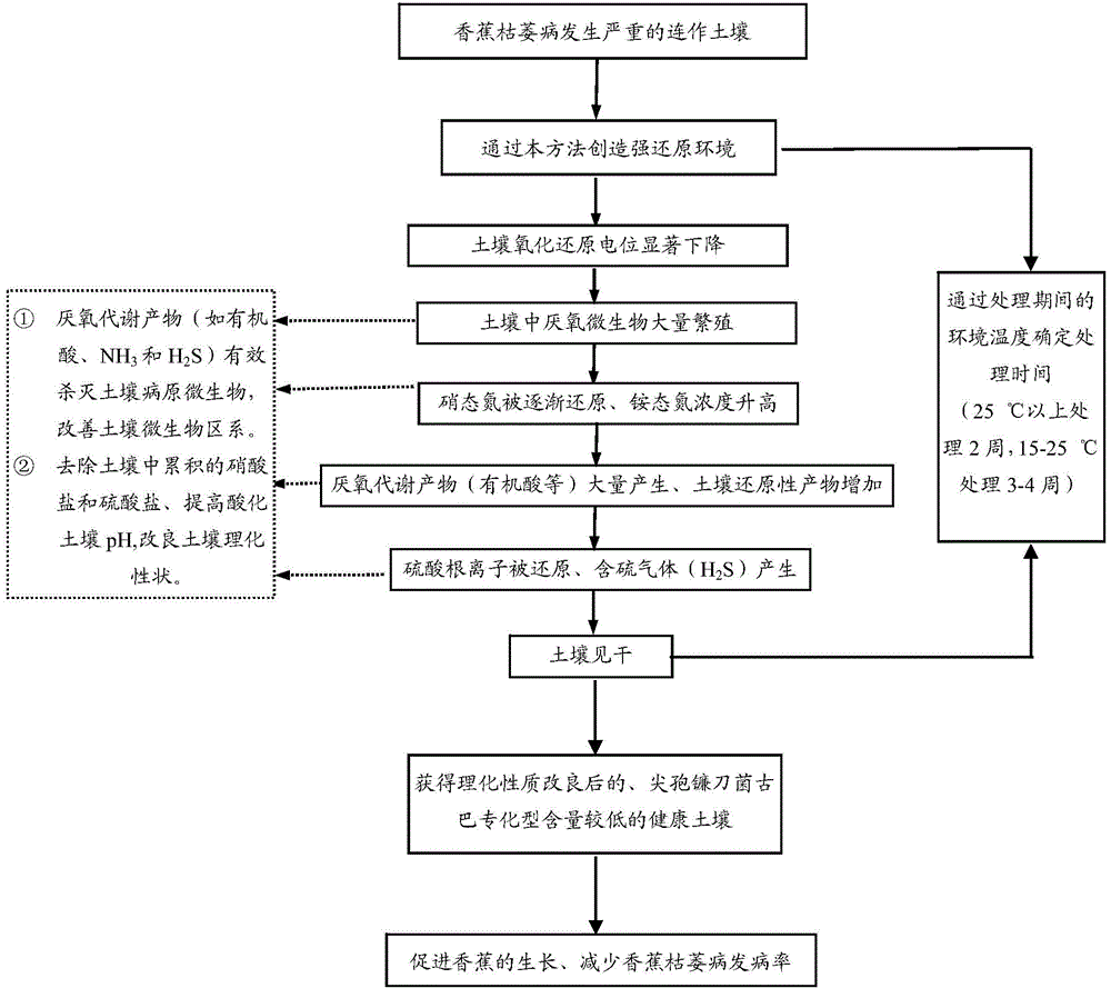 Quick sterilization method of banana wilt soil-borne pathogenic bacteria