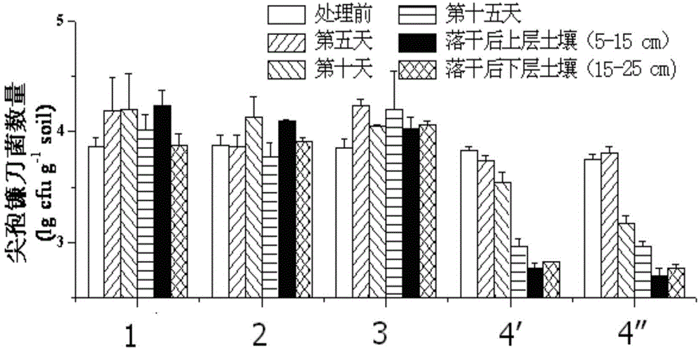 Quick sterilization method of banana wilt soil-borne pathogenic bacteria