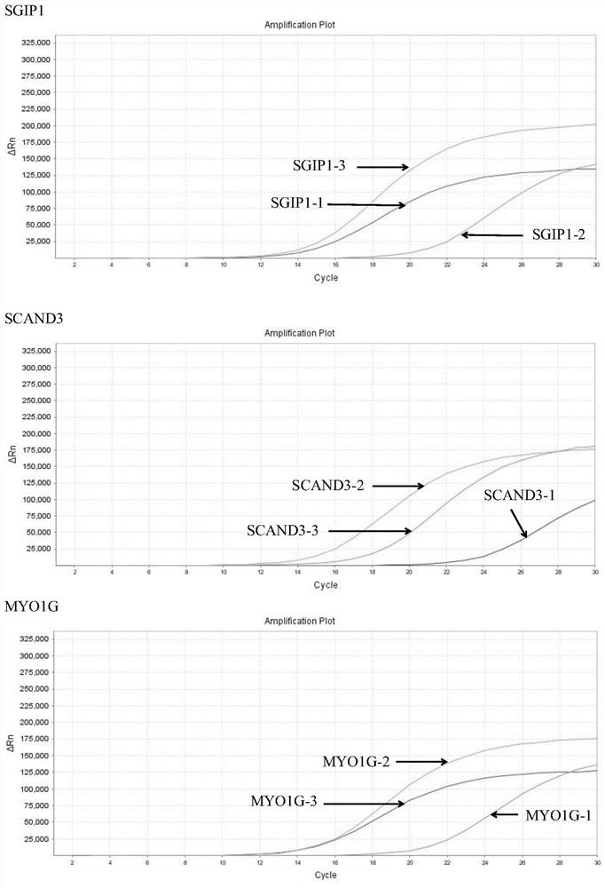 Composition for detecting liver cancer as well as kit and application thereof