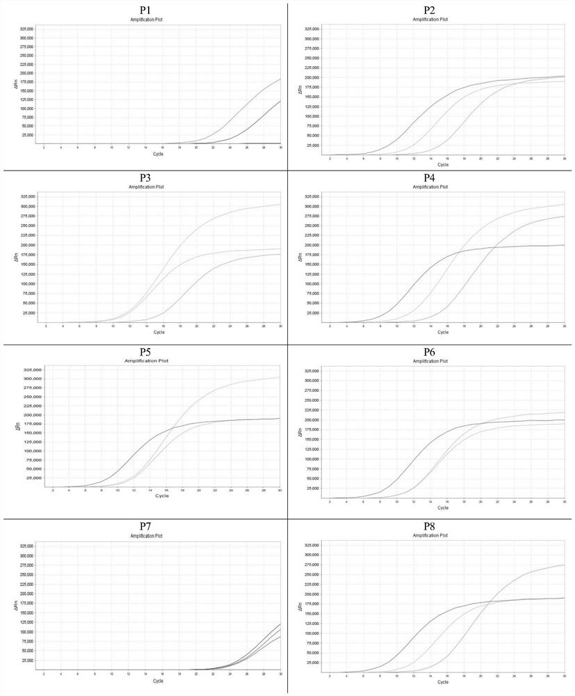 Composition for detecting liver cancer as well as kit and application thereof