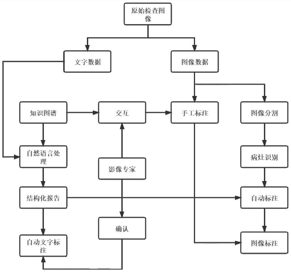 Medical image labeling method and system