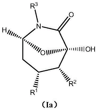 Asymmetric synthesis method of chiral bicyclo-caprolactam compound
