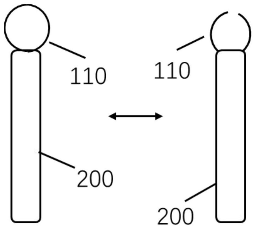 Method for constructing intestinal mucositis animal model