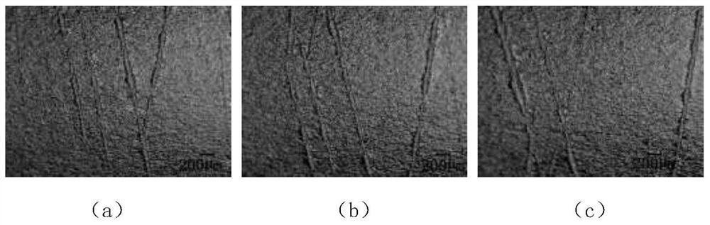 Evaluation method of material remaining life based on image analysis of surface microtopography features