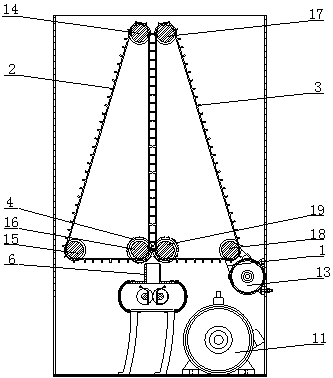 Common slicing machine for dendrobium stem