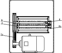 Common slicing machine for dendrobium stem