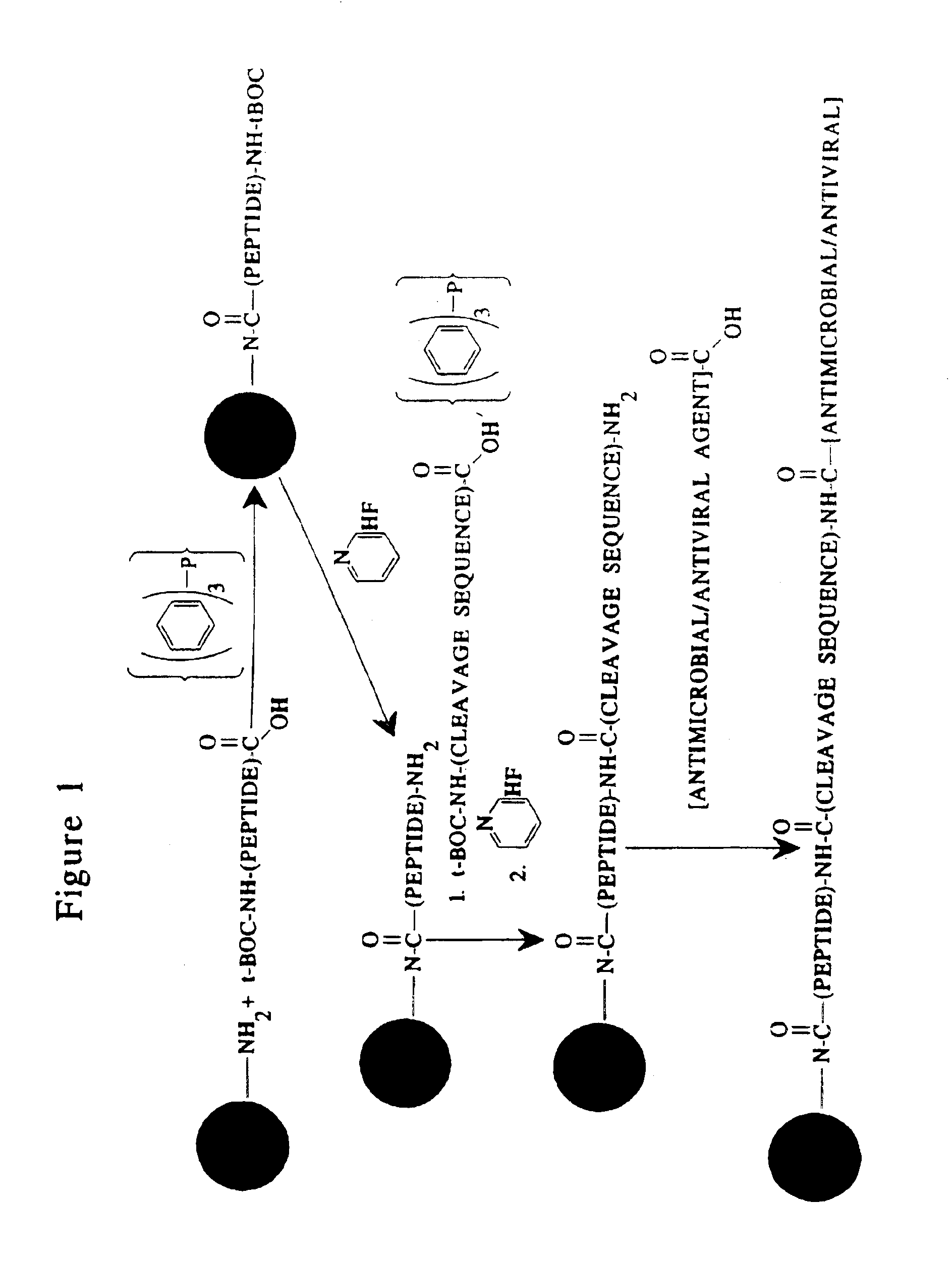 Composition containing porous microparticle impregnated with biologically-active compound for treatment of infection