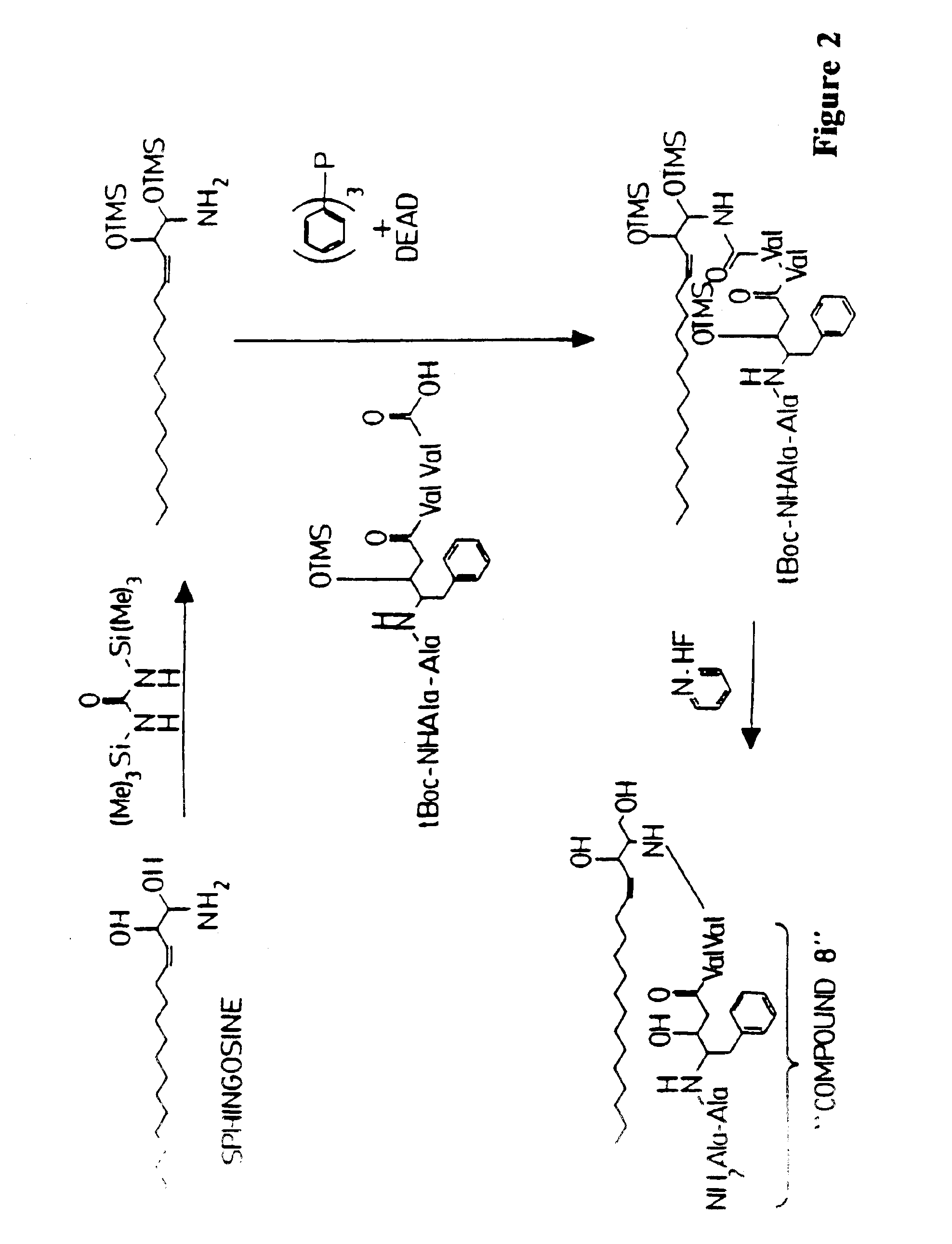 Composition containing porous microparticle impregnated with biologically-active compound for treatment of infection