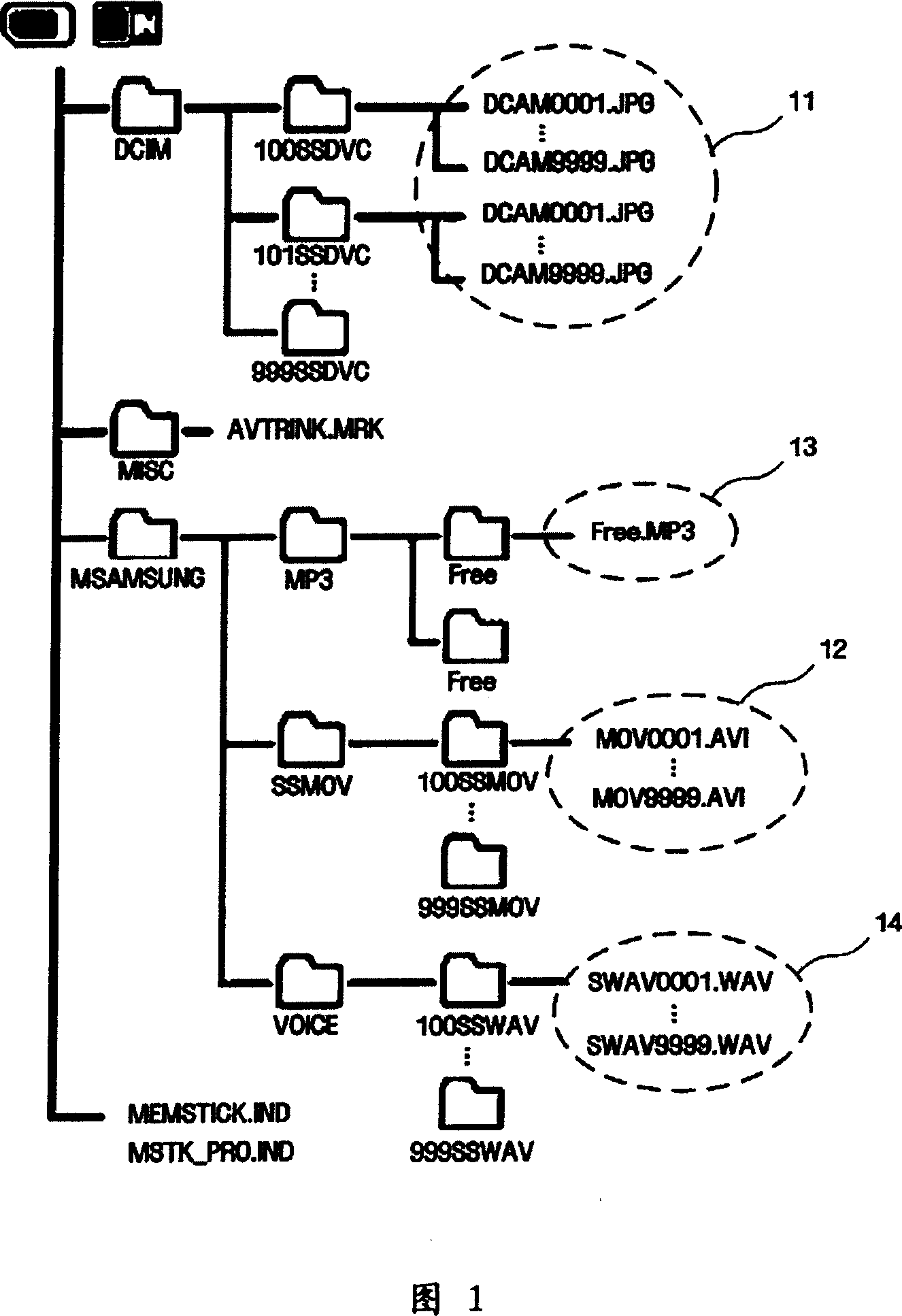 Apparatus and method for recording moving picture