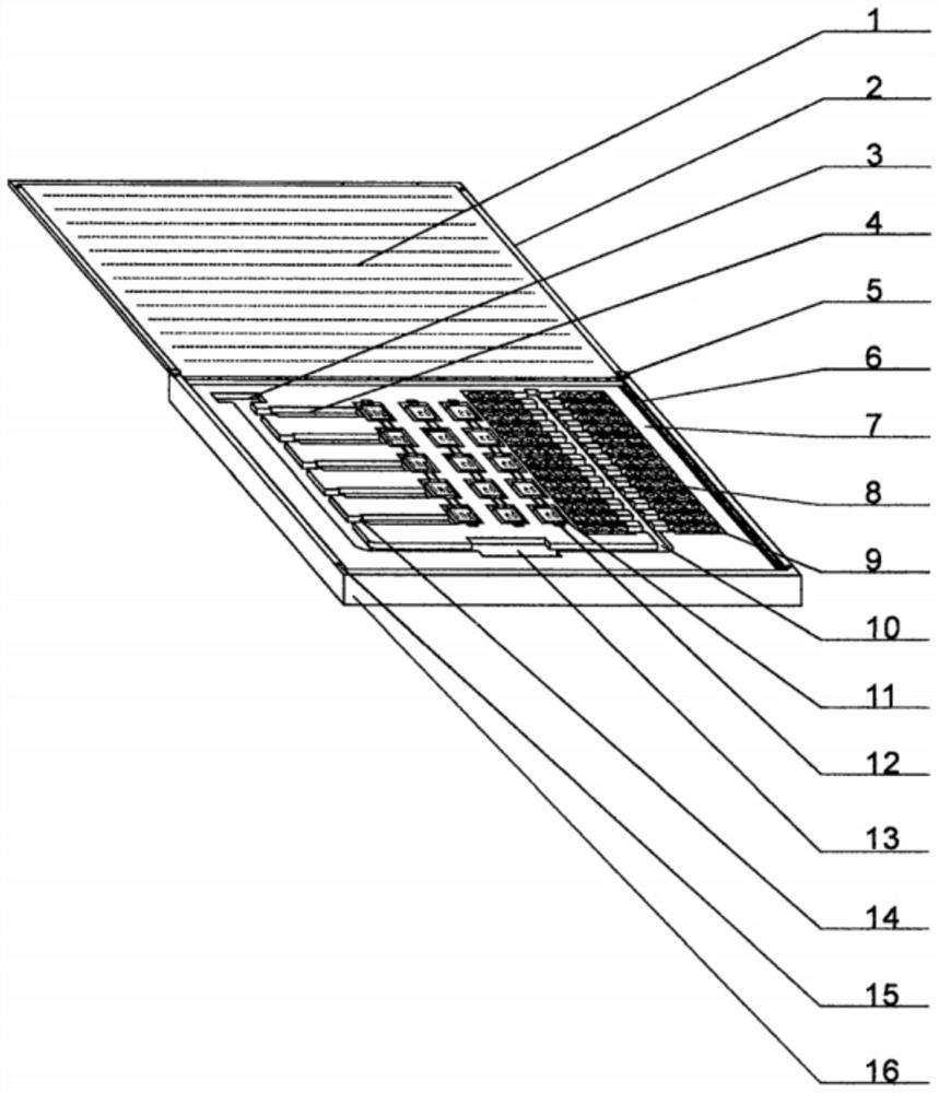 A device for learning English and American literature words