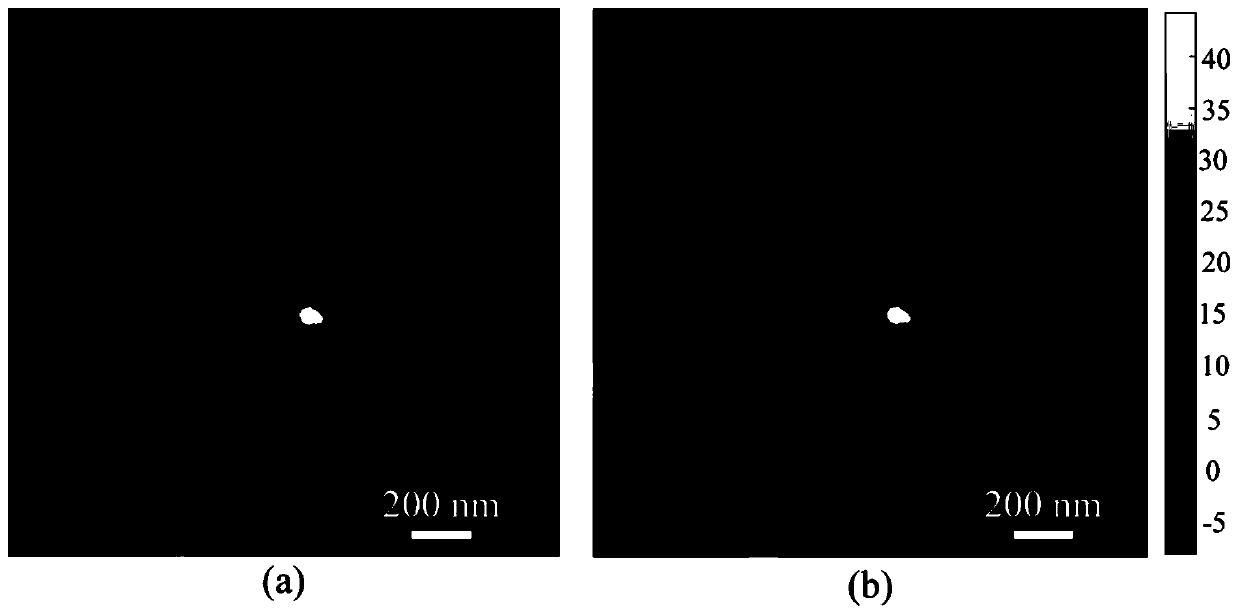 Rapid imaging method of atomic force microscope