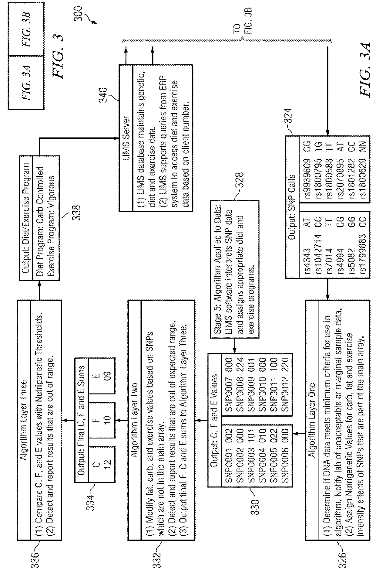 Weight management genetic test systems and methods