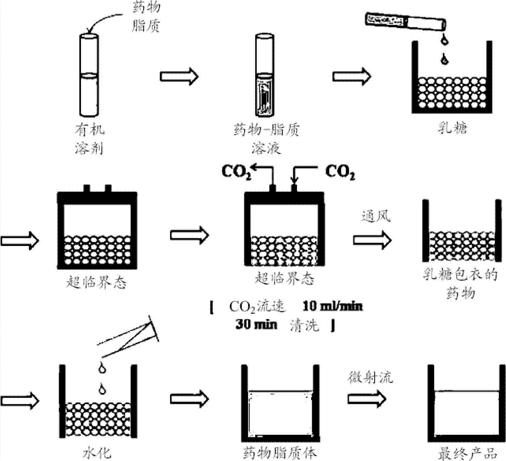 Method and apparatus for preparing novel liposome