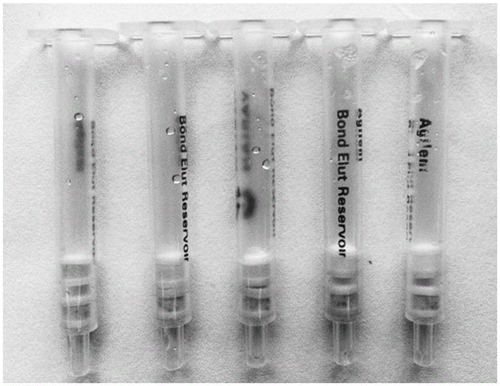 Immunoaffinity gel detection column for detecting enrofloxacin and preparation method thereof