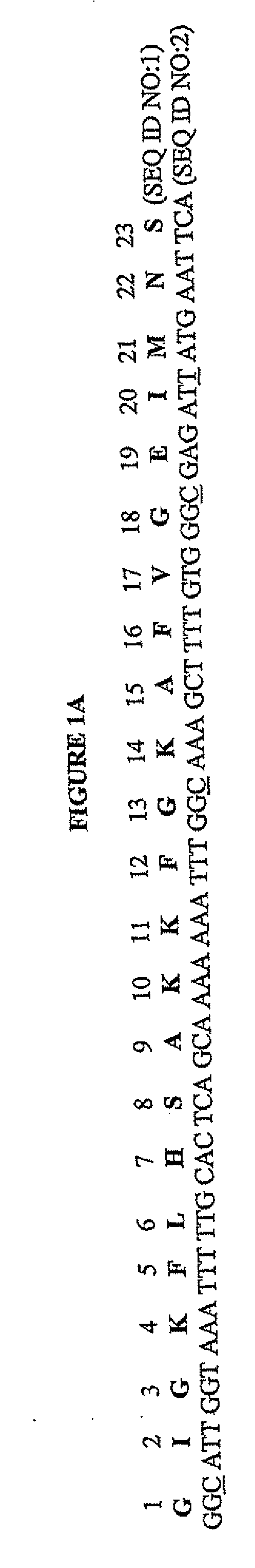 Methods and Compositions for Increasing Membrane Permeability