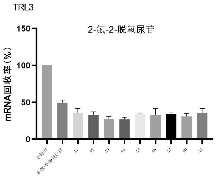 Modified nucleic acid and application thereof