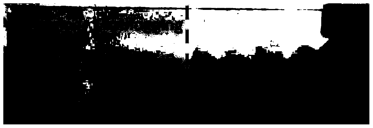 A kind of anti-fog/anti-frost coating containing anionic polyelectrolyte copolymer and preparation method thereof