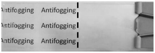 A kind of anti-fog/anti-frost coating containing anionic polyelectrolyte copolymer and preparation method thereof