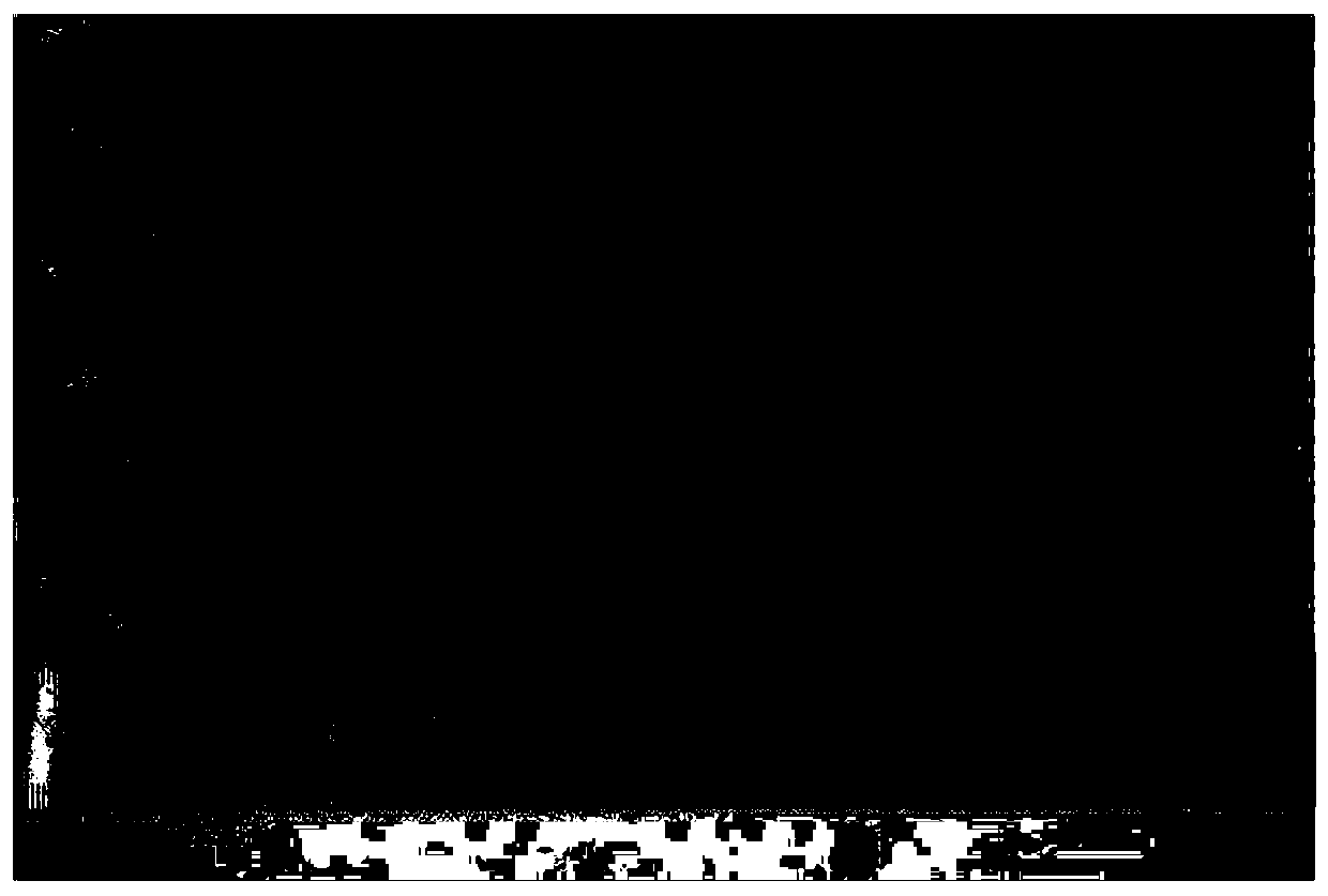 Method for regulating stress of multi-component laser cladding layer