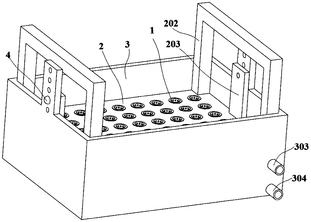 A cultivation device for rice seedlings