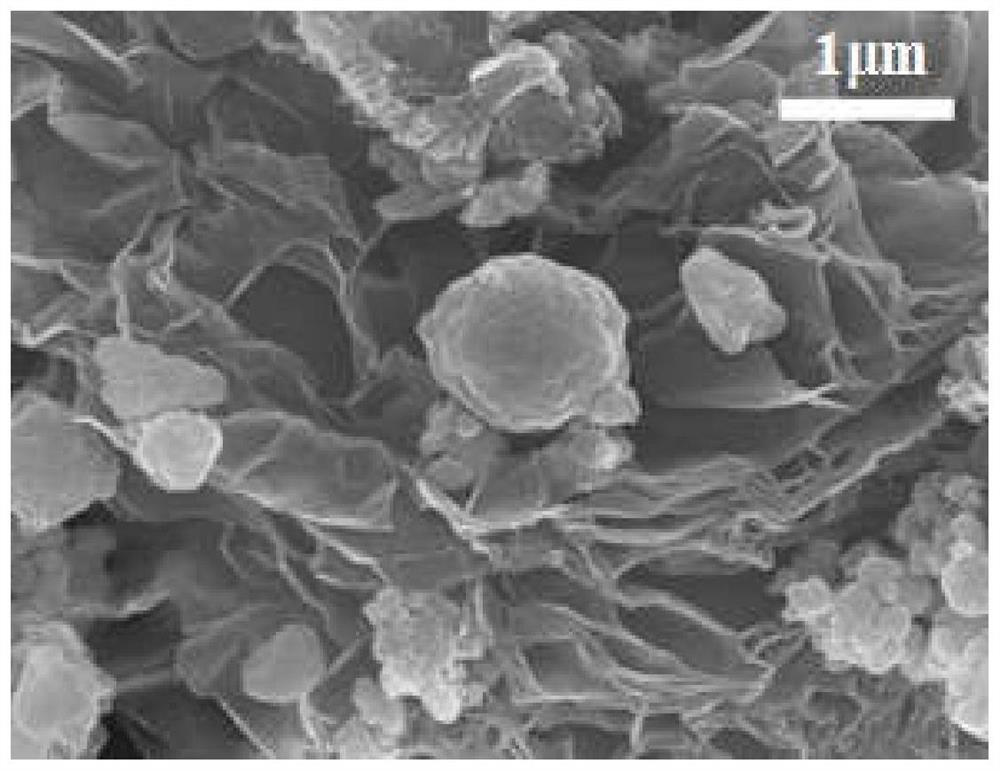 Recycling method of lithium iron phosphate battery, obtained LiFePO4/RGO composite material and application