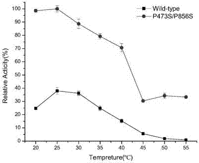 Genetically engineered bacterium for expressing heat resistant type dextransucrase, as well as construction method and application of genetically engineered bacterium