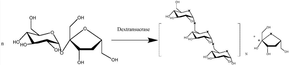 Genetically engineered bacterium for expressing heat resistant type dextransucrase, as well as construction method and application of genetically engineered bacterium
