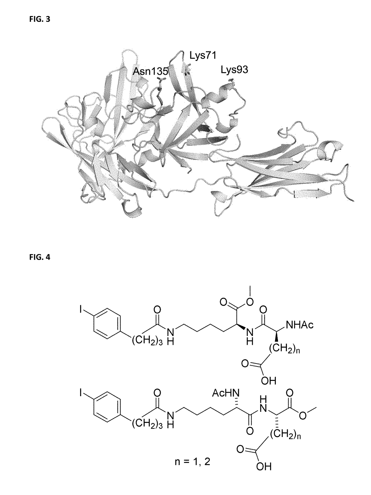 Functionally modified polypeptides and radiobiosynthesis
